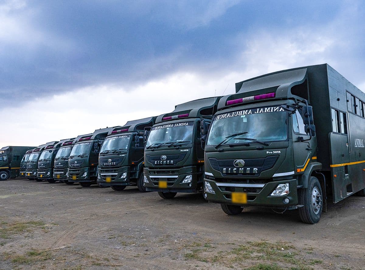 Fleet of Animal Ambulances at Vantara.
