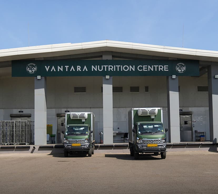 statistics of consumption