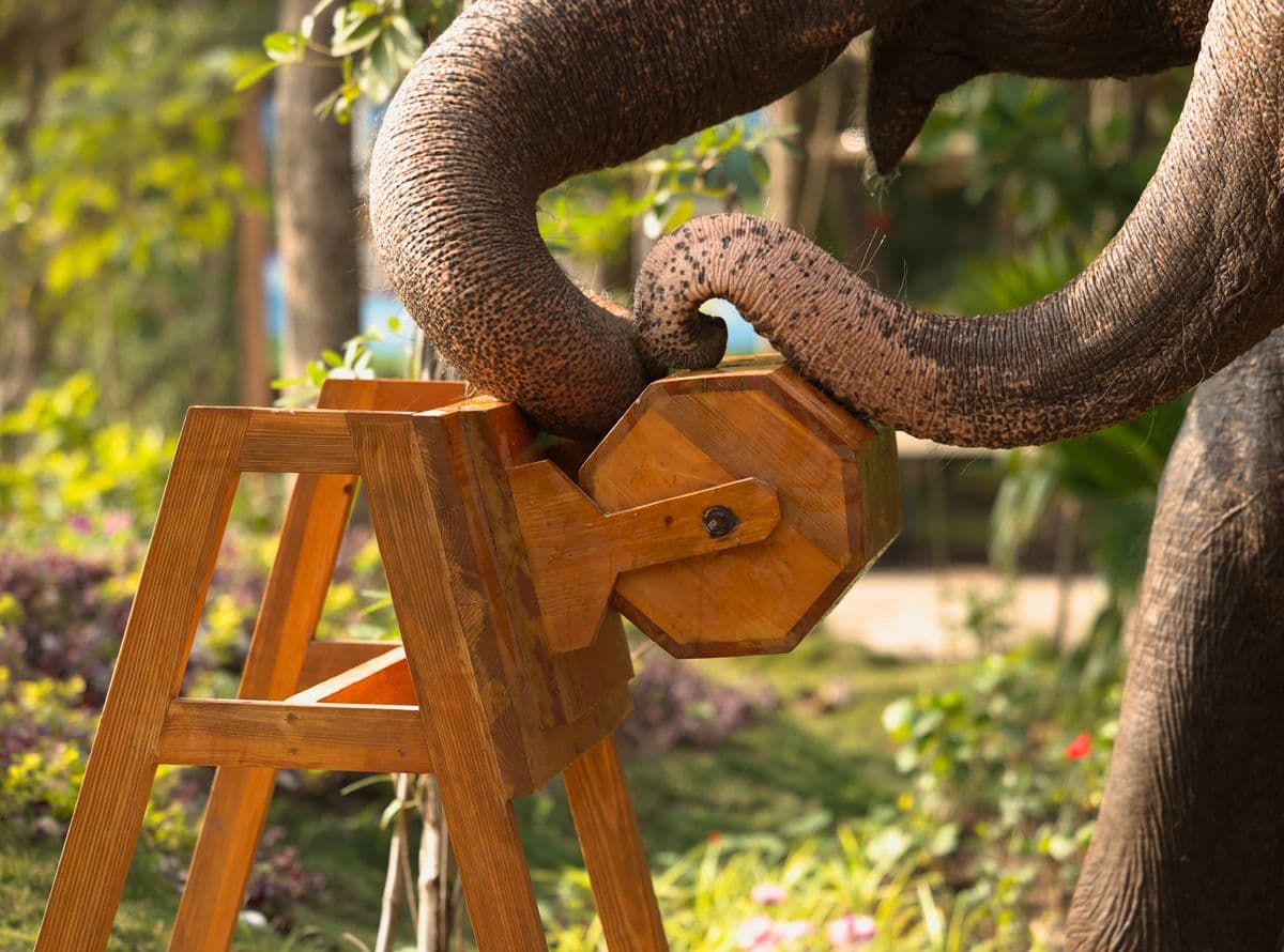Food enrichment_RKTEWT